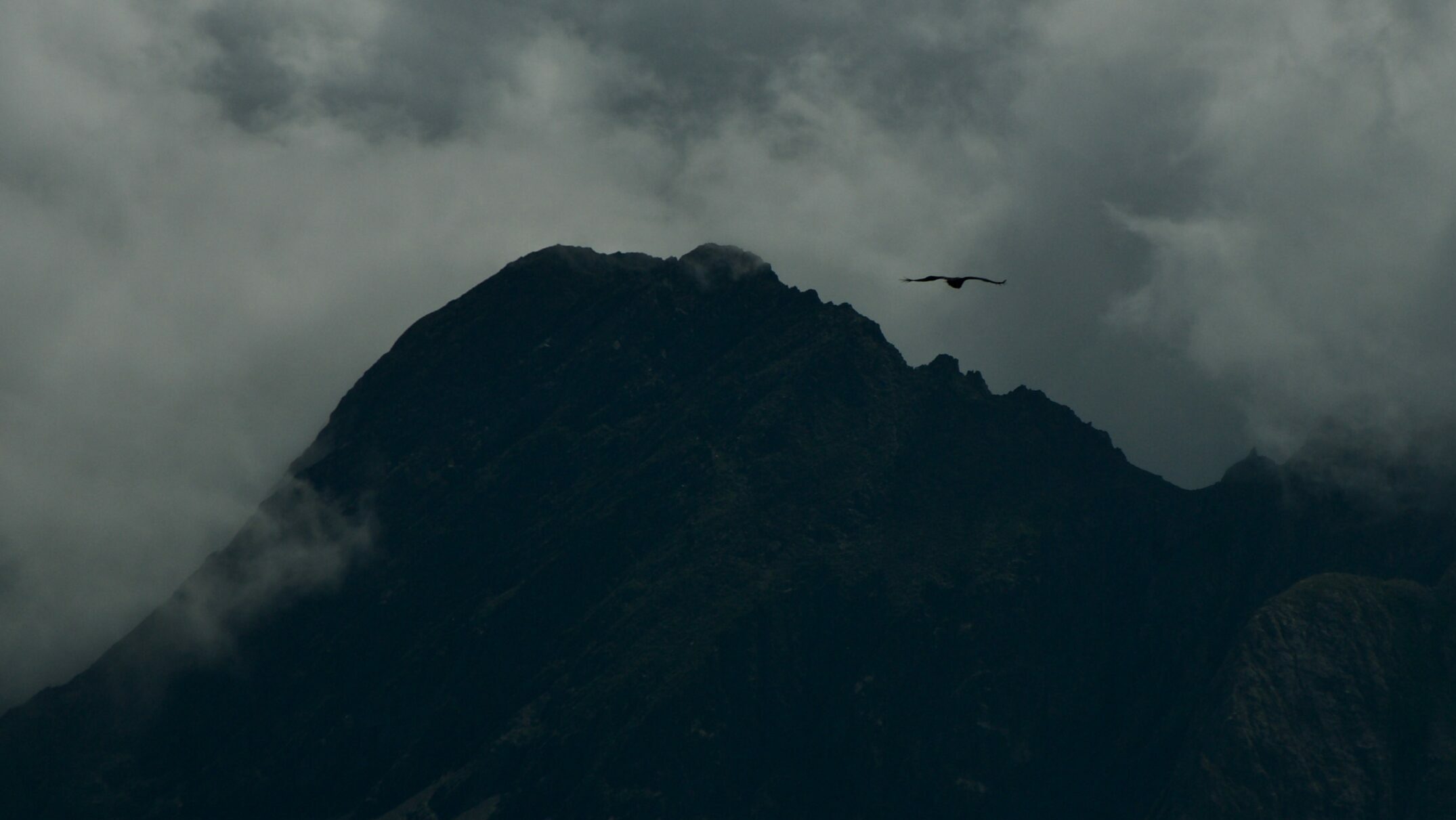 A black and white picture of a pyrenean vulture flying in a tormented sky towards the Pallas peak, seemingly towards new horizons